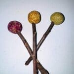 Timothy Hay Floral Grass Ball and Apple Stick Lollipop Toy Treat. Rabbit Treat, Chinchilla Treat, Hamster Treat, Guinea Pig Treat