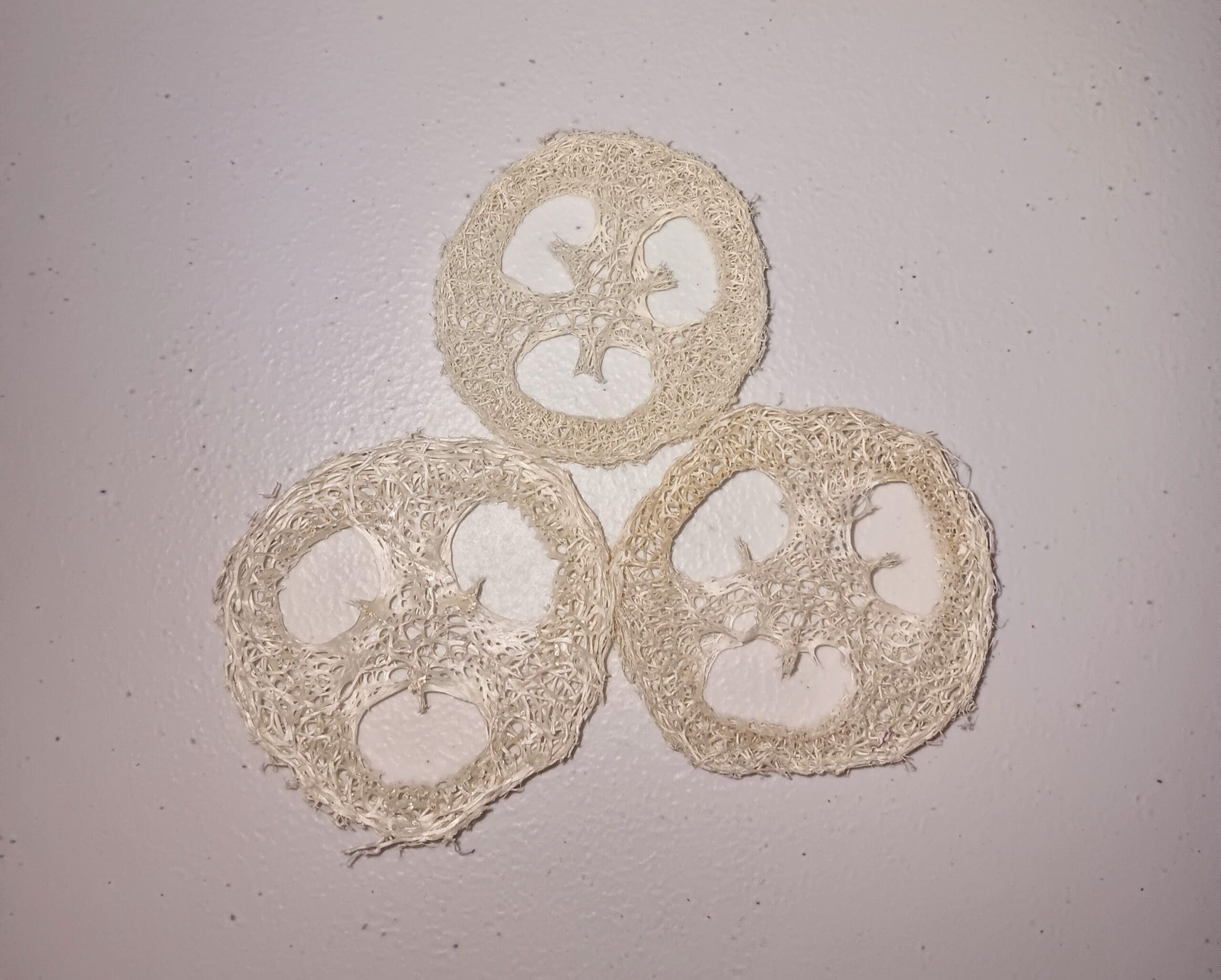 Multi-Flavored Loofah Chew