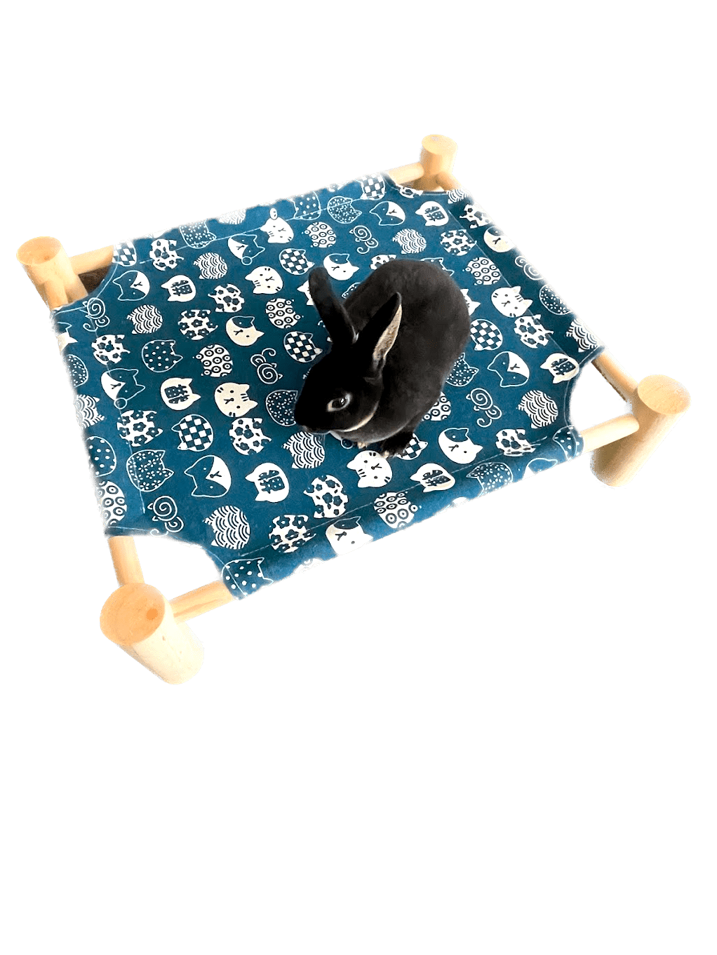 Luxury Hammock Pet Bed: Where Comfort Meets Style. Suitable for Rabbit, Small Dogs, Puppies and Cat.