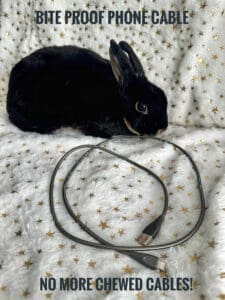 Pet Safe Durable Bite-Resistance Braided Stainless Steel Fast Charging IPhone and Android Cable - Your Pet Rabbit, Dogs and Cat. New Nemesis