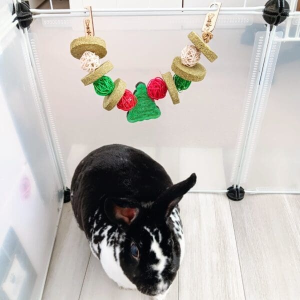 Hanging Christmas Timothy Hay and Rattan Rabbit Treats Rabbit, Chinchilla, Guinea Pig and Small Rodent