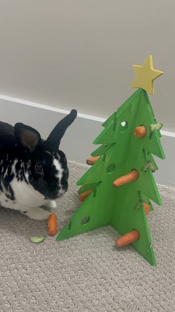 Christmas Tree for Rabbit, Chinchilla, Guinea Pig and Small Rodent