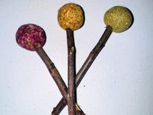 Timothy Hay Floral Grass Ball and Apple Stick Lollipop Toy Treat. Rabbit Treat, Chinchilla Treat, Hamster Treat, Guinea Pig Treat