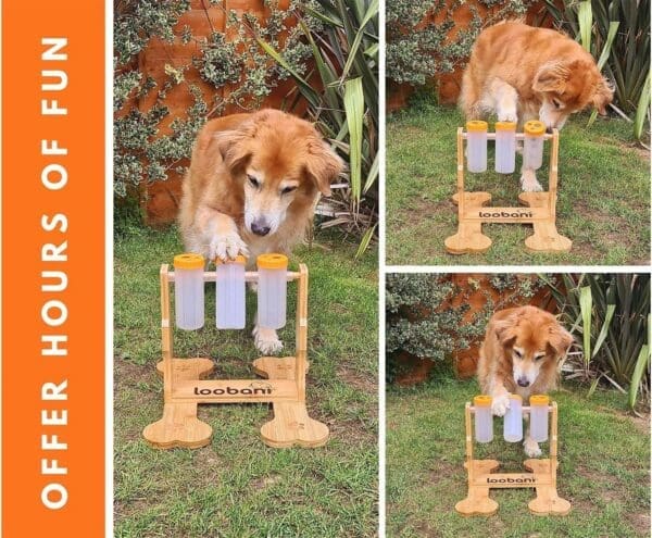 Interactive Wooden Dog Snack Dispenser Feeder Puzzle Toy - Image 2